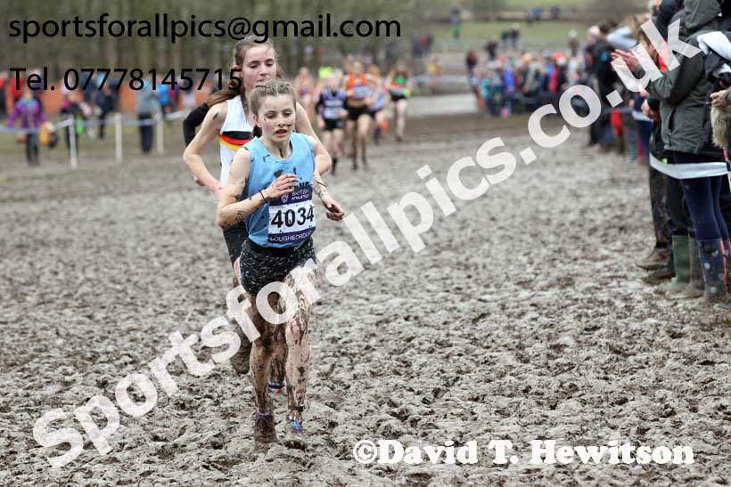 Girls under-15s 2018 British Inter Counties Cross Country Champs., Prestwold Hall, Loughborough. Photo: David T. Hewitson/Sports for All Pics